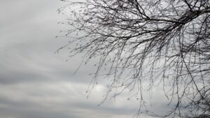 Детальніше про статтю Погода останніх днів зими                                                  нагадуватиме ранню весну