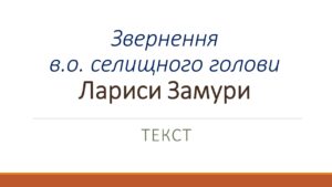 Детальніше про статтю Ніч у Петропавлівці минула спокійно