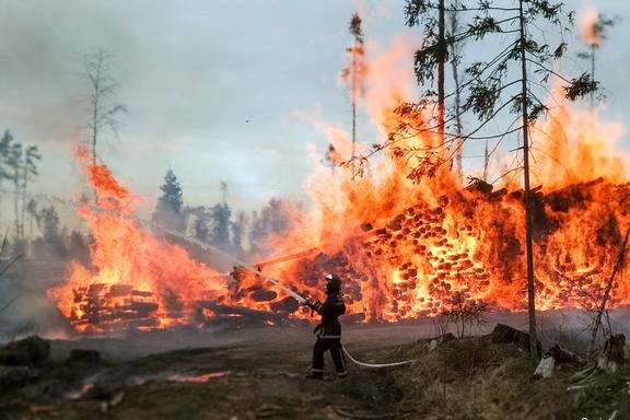 Ви зараз переглядаєте В екосистемах Дніпропетровщини порушено пожежами майже 1,5 тисячі гектарів землі