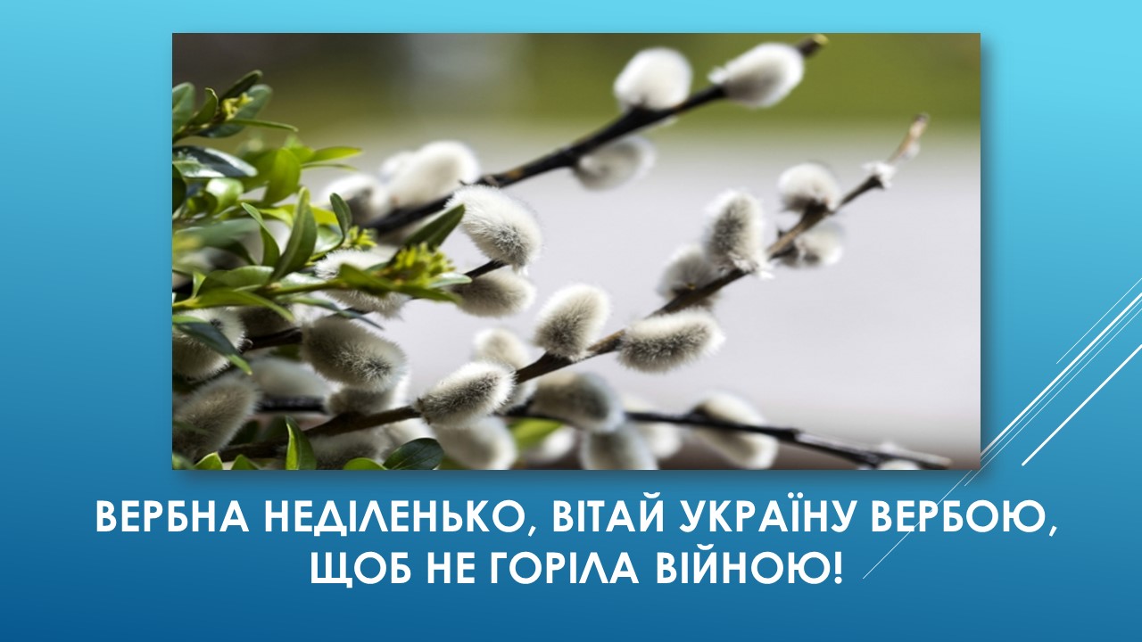 Детальніше про статтю Вербна неділя: традиції, прикмети, погода