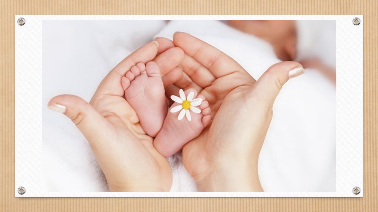 Ви зараз переглядаєте На Дніпропетровщині з 24 лютого стали мамами 83 переселенки