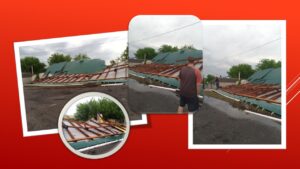 Детальніше про статтю Наслідки буревію ліквідували спільними зусиллями