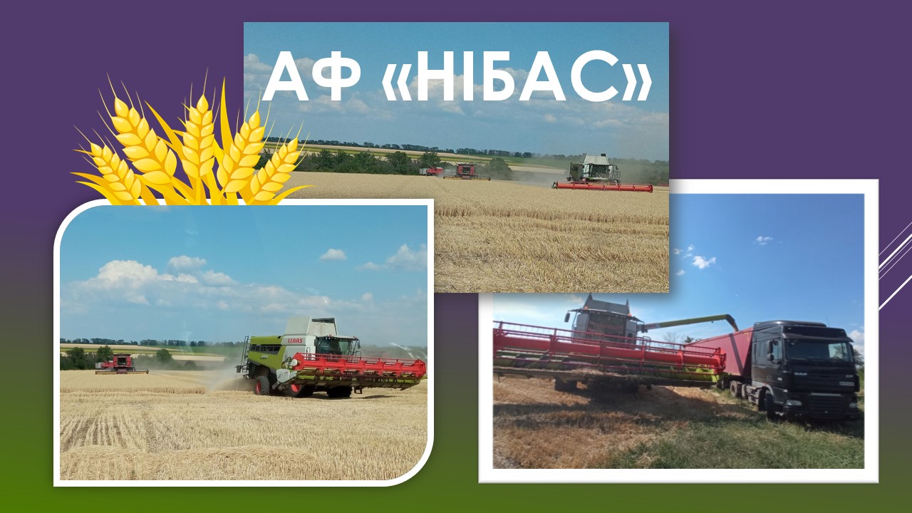 Ви зараз переглядаєте Роман Ковальський: агрофірма «Нібас» розпочала жнива з надією на Перемогу