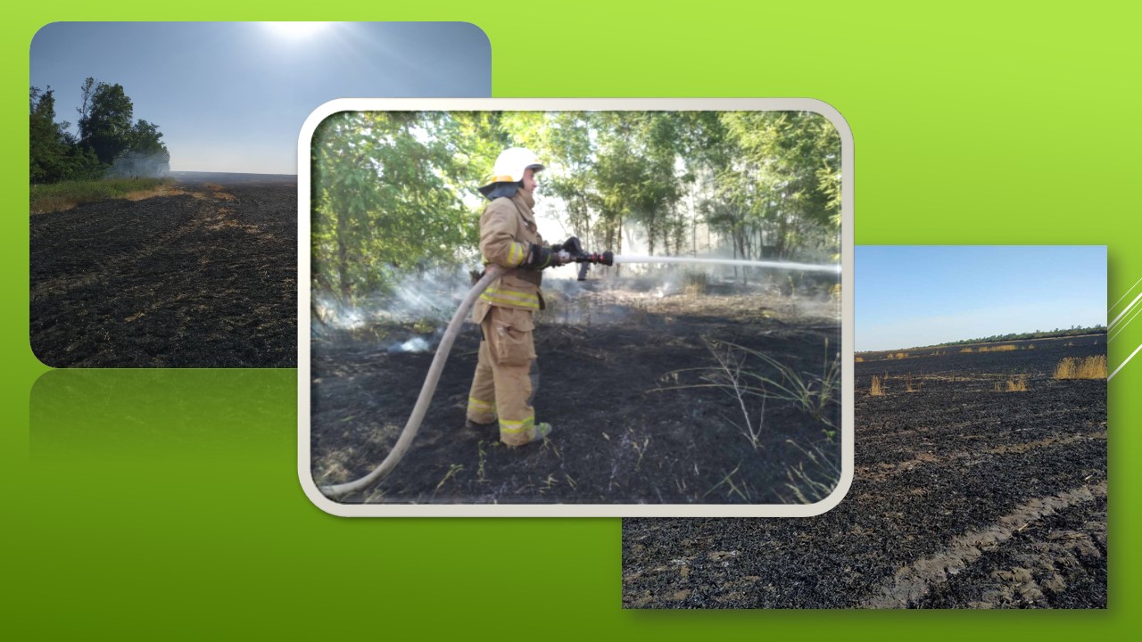 Детальніше про статтю Петропавлівські рятувальники ліквідували пожежі у кількох громадах