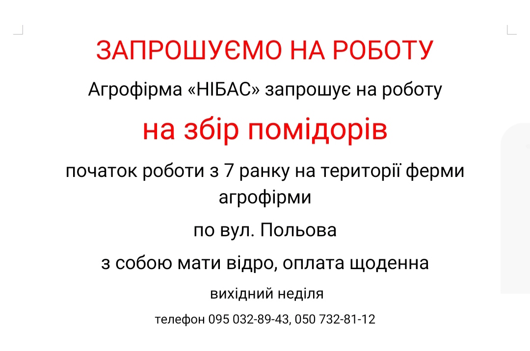 Ви зараз переглядаєте АФ Нібас запрошує на роботу