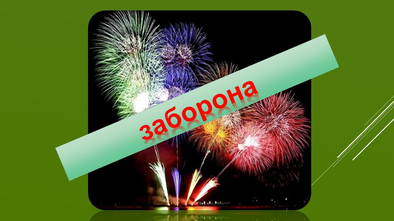 Ви зараз переглядаєте Верховна Рада підтримала у першому читанні законопроект про заборону салютів, феєрверків та петард