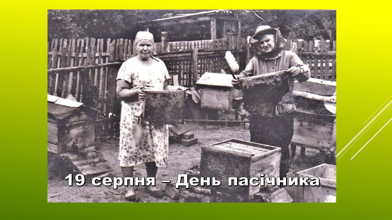 Ви зараз переглядаєте Моє дитинство було медовим!