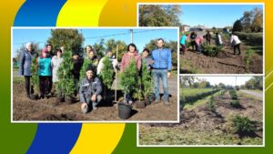Детальніше про статтю В Самарському висадили алею Перемоги