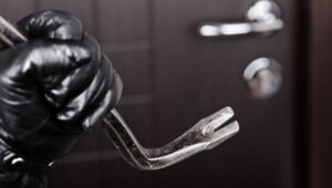 Детальніше про статтю Крадіжка майна з будинку та підробка документа: кримінальна хроніка минулого тижня