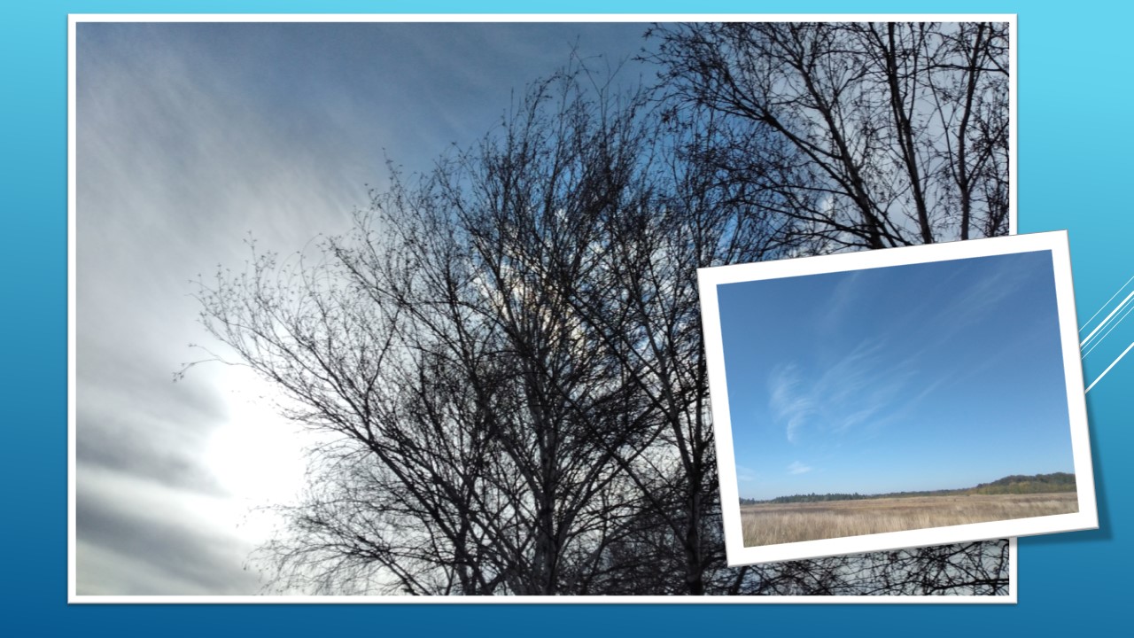 Детальніше про статтю 30 листопада – Зимовказівник: у Петропавлівщині сьогодні крижаний вітер