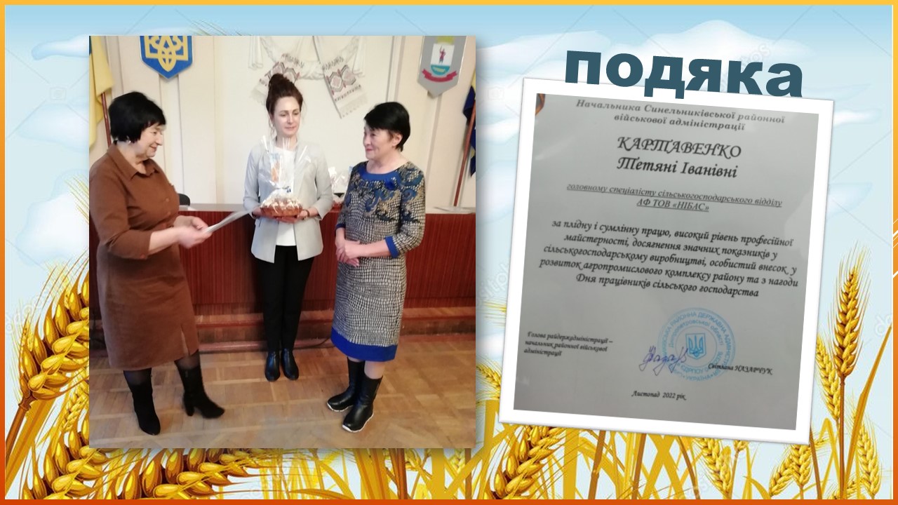 Детальніше про статтю Тетяна Картавенко, головний спеціаліст АФ «Нібас», отримала подяку від районної адміністрації