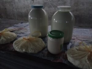 Детальніше про статтю Яка вартість молочної продукції на Петропавлівському ринку