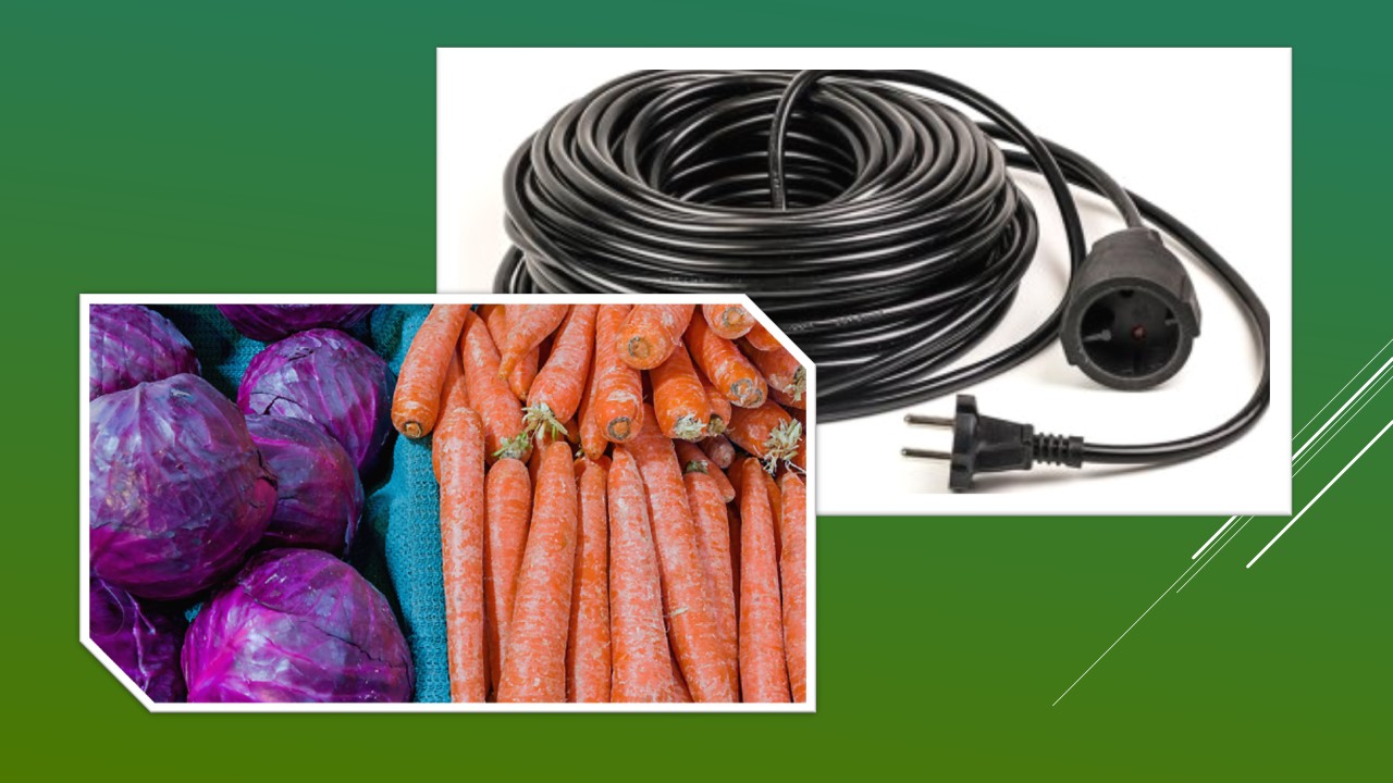 Ви зараз переглядаєте Після зустрічі Нового року на Петропавлівщині найбільше сталося крадіжок