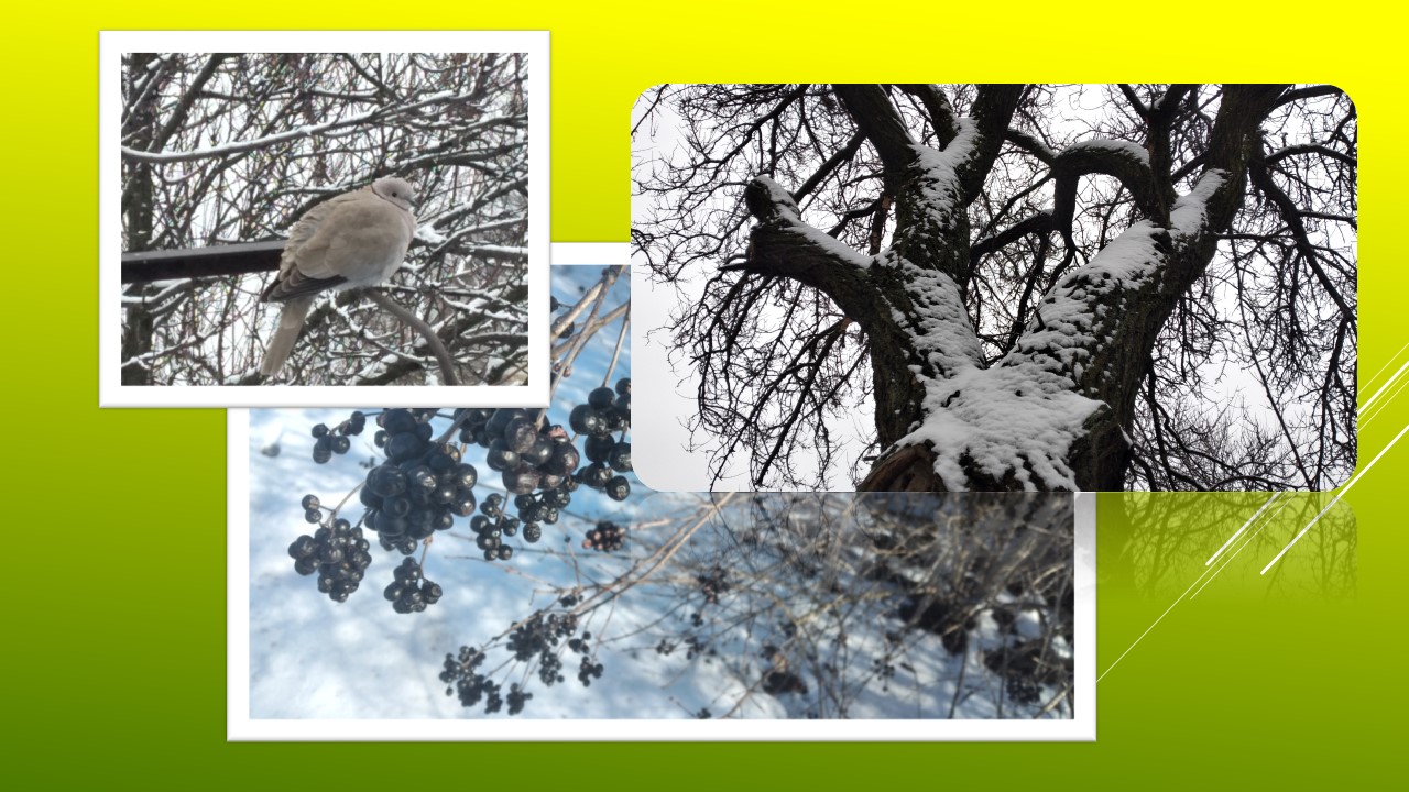 Ви зараз переглядаєте Усі млинці з`їли – життя буде щасливим: що передбачали Масничні прикмети