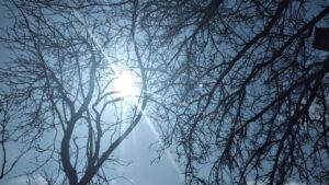 Детальніше про статтю Сьогодні настане астрономічна весна