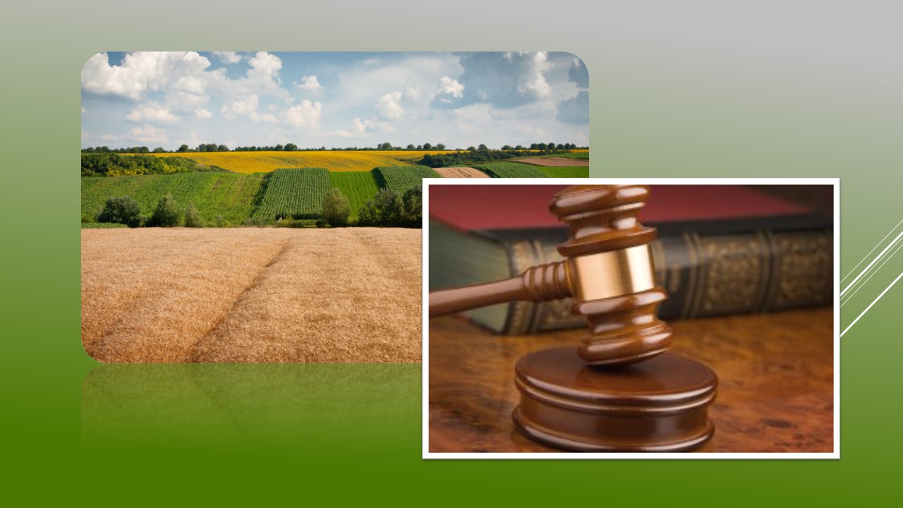 Детальніше про статтю Першотравенська прокуратура повернула земельні ділянки територіальній громаді