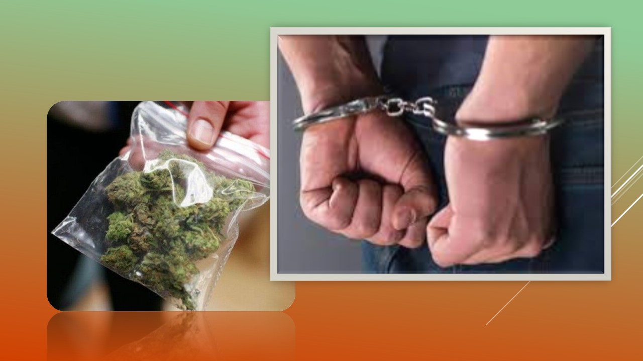 Детальніше про статтю Житель Межівської громади продавав канабіс: зараз він перебуває під вартою