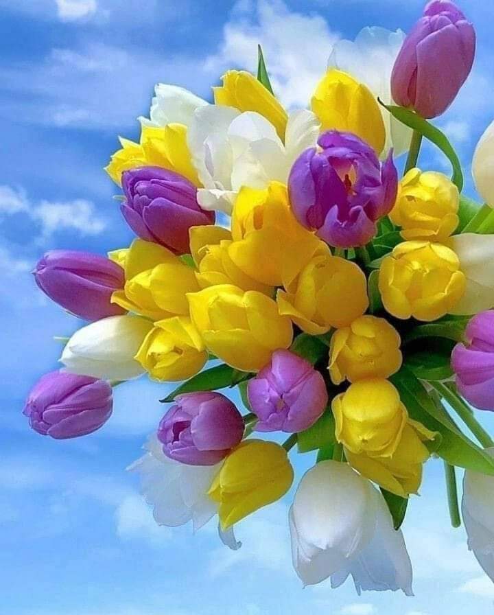 Детальніше про статтю З Днем народження вітаємо Юлію Єрьоміну, депутата Петропавлівської селищної ради 