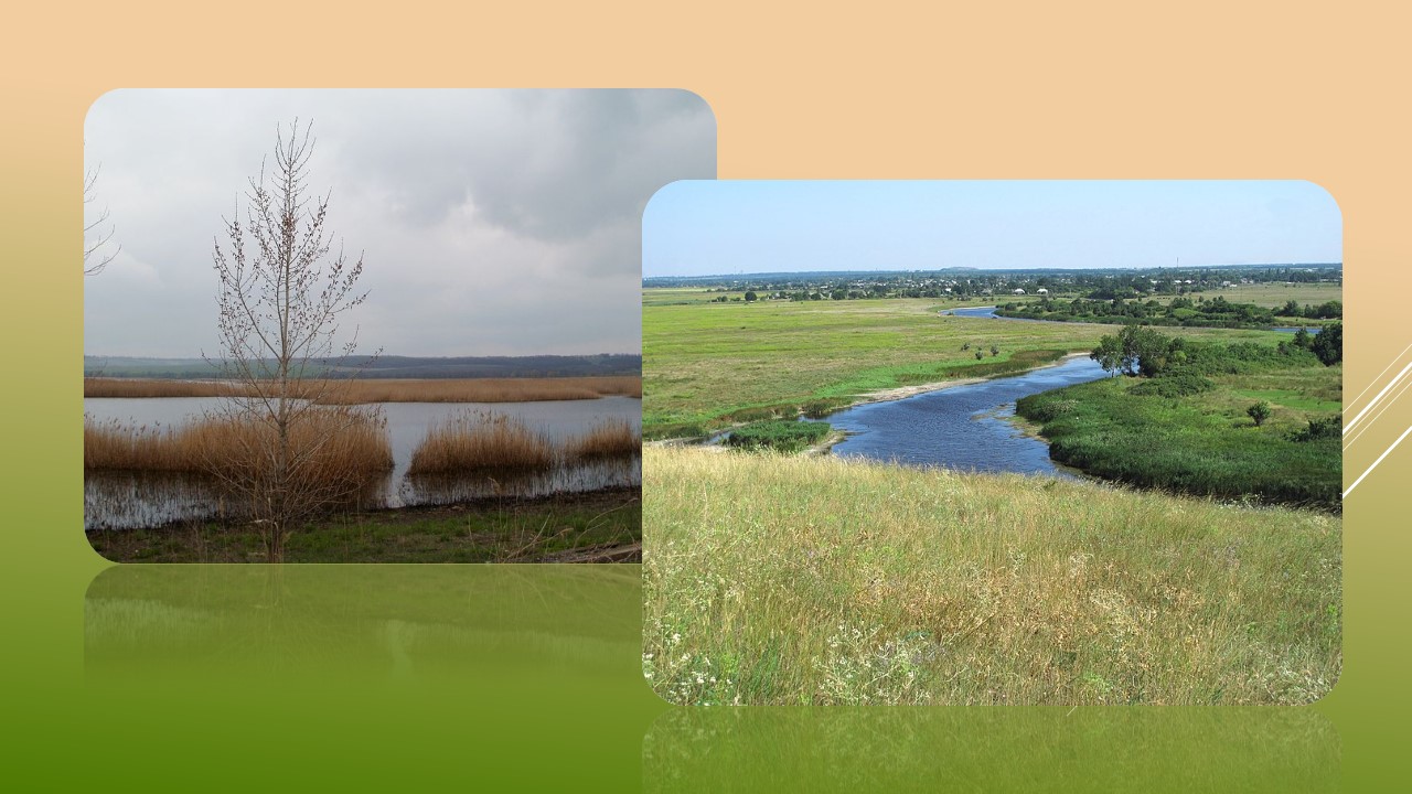 Ви зараз переглядаєте Завдяки прокурорам державі повернуто землі природно-заповідного фонду