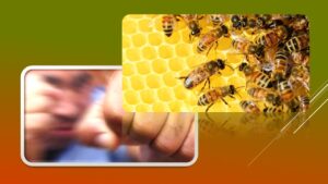 Детальніше про статтю Тілесні ушкодження та шахрайство на продажу бджіл: кримінальні події минулого тижня