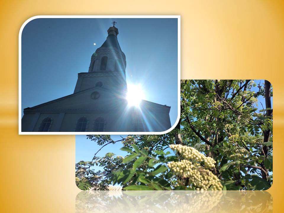 Детальніше про статтю Клечальний понеділок або Духів день: варто зустрітися з близькими або запросити їх в гості