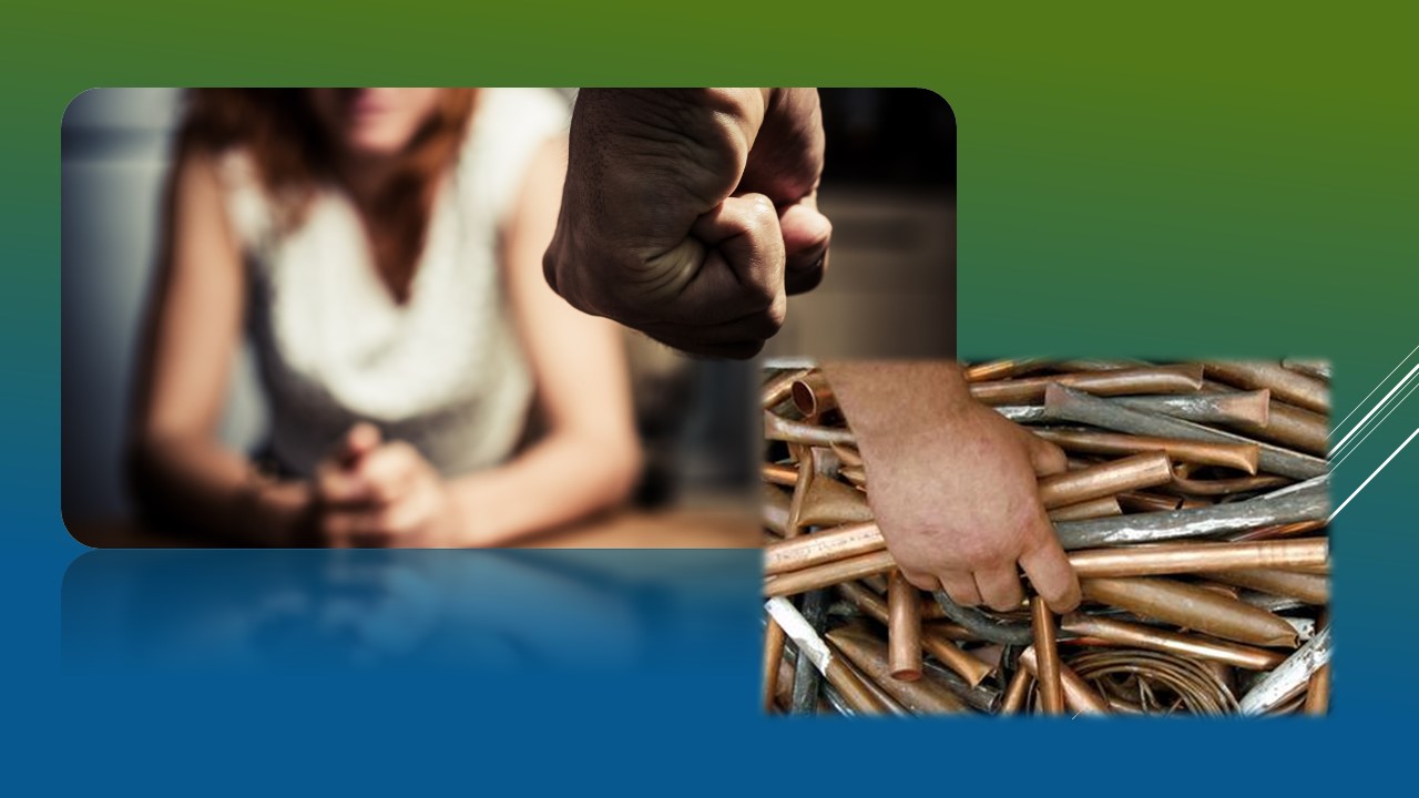 Детальніше про статтю Крадіжка металевих виробів та домашнє насильство: кримінальні події минулого тижня