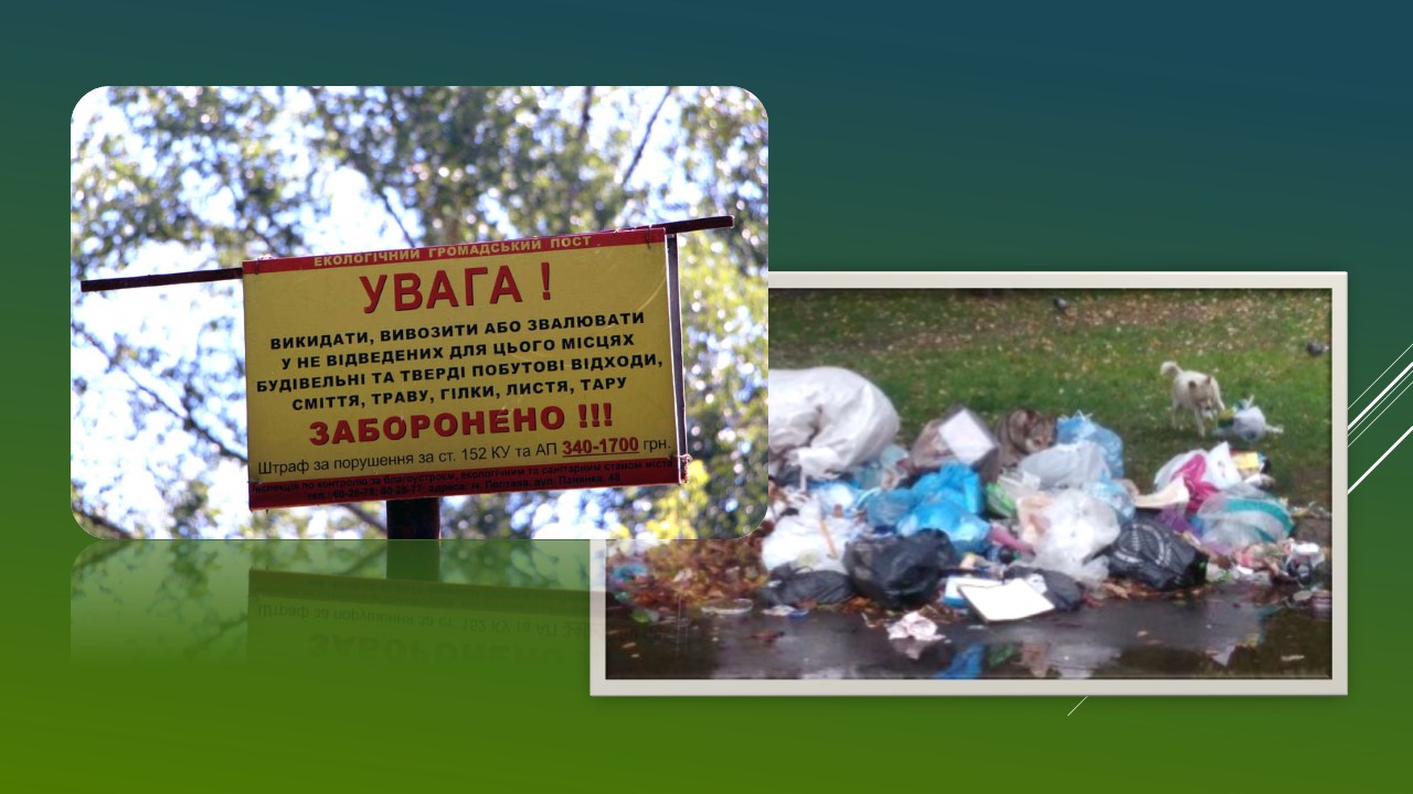 Детальніше про статтю Штраф за викинуте сміття заплатить житель Петропавлівки