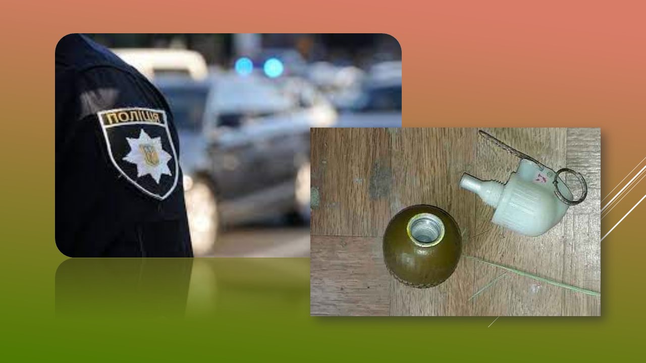 Детальніше про статтю У жителя Петропавлівської громади вилучено бойову гранату