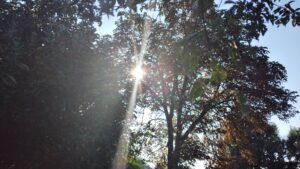 Детальніше про статтю У вихідні на Петропавлівщину прийде майже 40-градусна спека