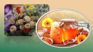 Детальніше про статтю Свято Маковія: скуштуйте меду, щоб увесь рік була благодать