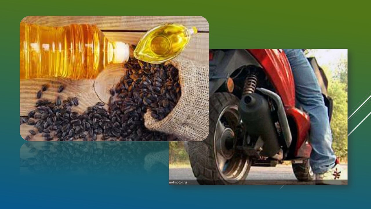 Детальніше про статтю Крадіжки мопеда та продуктів харчування: кримінальні події минулого тижня