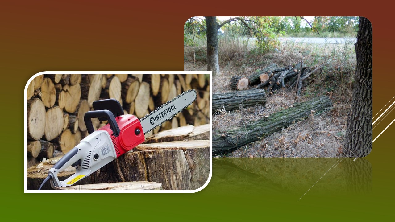 Ви зараз переглядаєте Крадіжка електропилки та незаконна вирубка лісосмуг: кримінальні події за минулі 10 днів