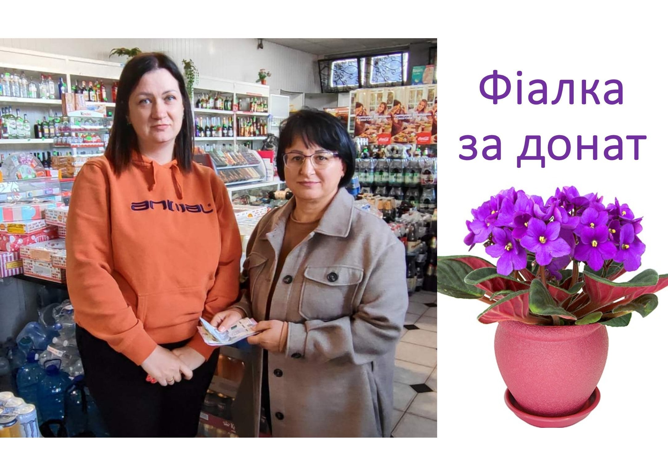 Детальніше про статтю У вас будуть квітнути фіалки, а нашим воїнам – підмога!