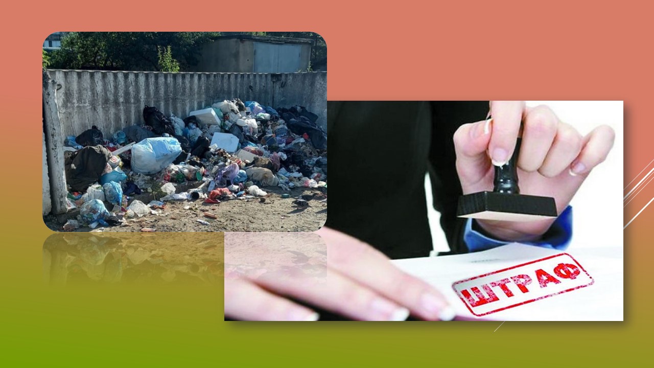 Ви зараз переглядаєте Жительку Петропавлівки, яка викидала сміття у невідведене для цього місце, оштрафували