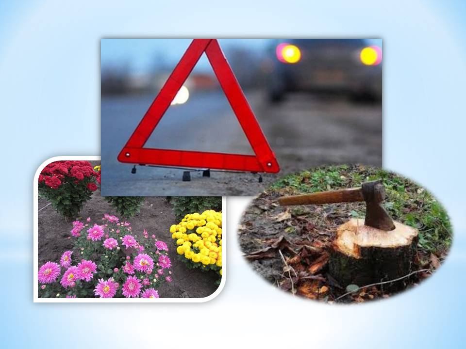 Детальніше про статтю Крадіжка хризантем, незаконна рубка дерев, ДТП: кримінальні події минулого тижня