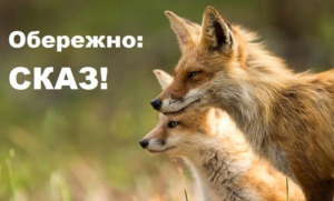 Детальніше про статтю Ситуація із захворюванням на сказ ускладнюється