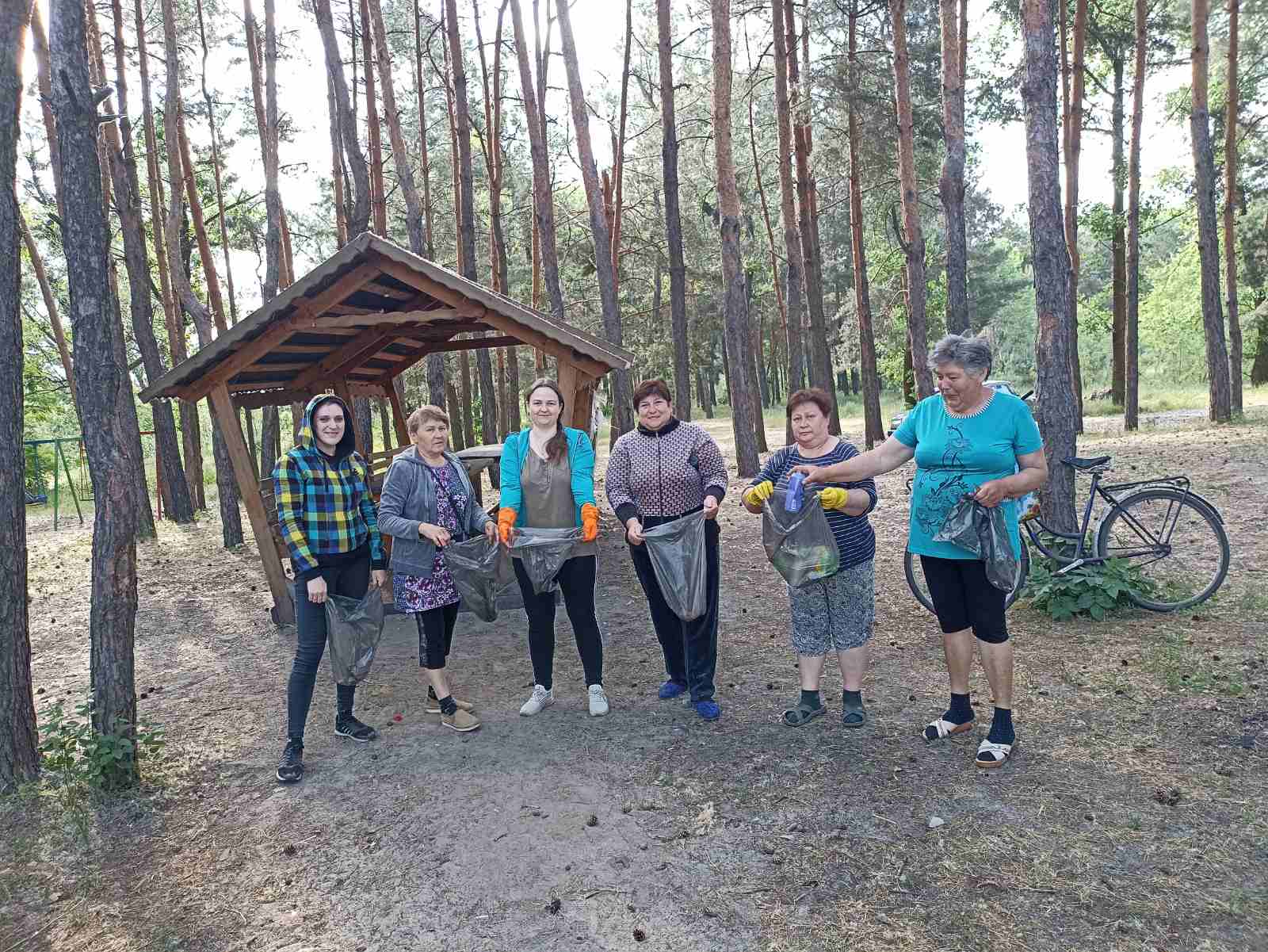 Детальніше про статтю Толока у селищі: дружна та злагоджена!