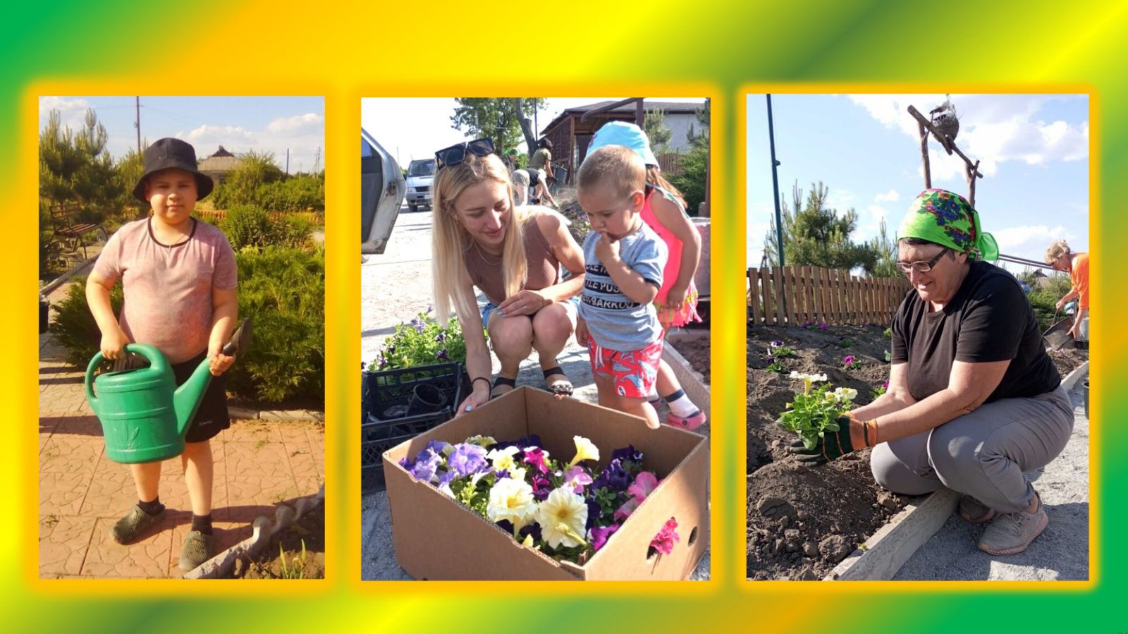 Детальніше про статтю У Самарському знову квітнуть петунії