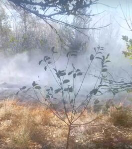 Детальніше про статтю Випробування вогнем