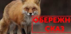 Read more about the article До уваги населення!