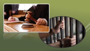 Детальніше про статтю Спочатку розпивав з тіткою алкоголь, а потім її убив: жителя Синельниківщини визнали винним