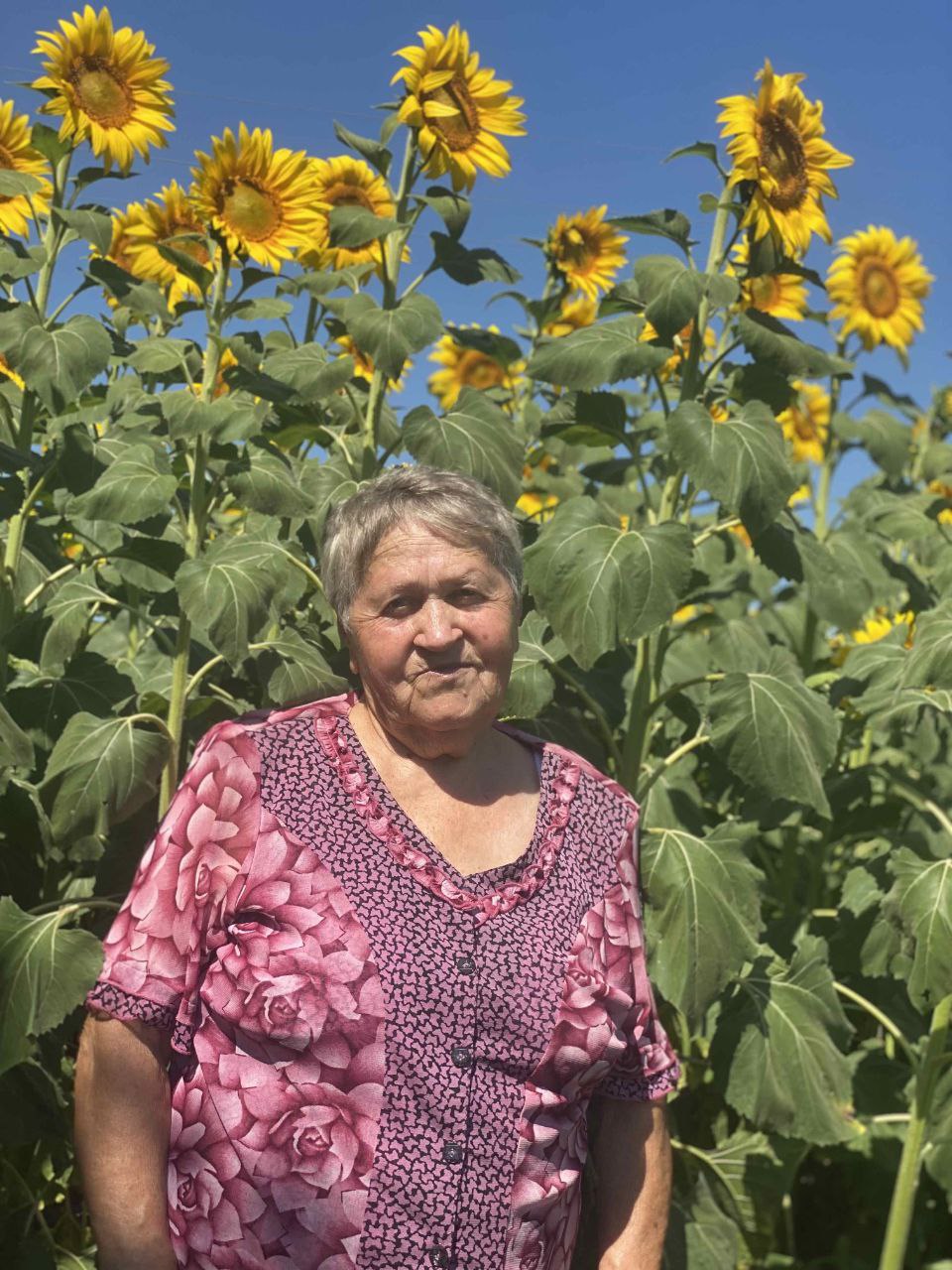 Детальніше про статтю Світлої пам’яті Марії Іванівни присвячується