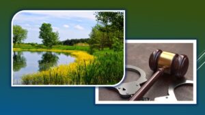 Детальніше про статтю На Дніпропетровщині прокуратура повернула державі землі природно-заповідного фонду