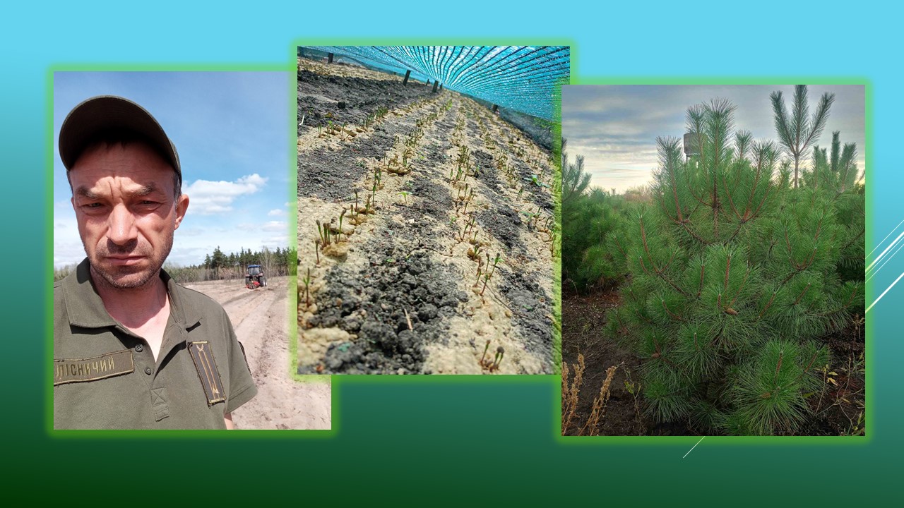 Ви зараз переглядаєте Олександр Динник: Із маленької насінини зростає величний ліс