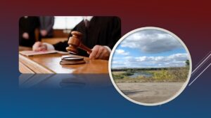 Детальніше про статтю Землі природно-заповідного фонду повернуто у державну власність